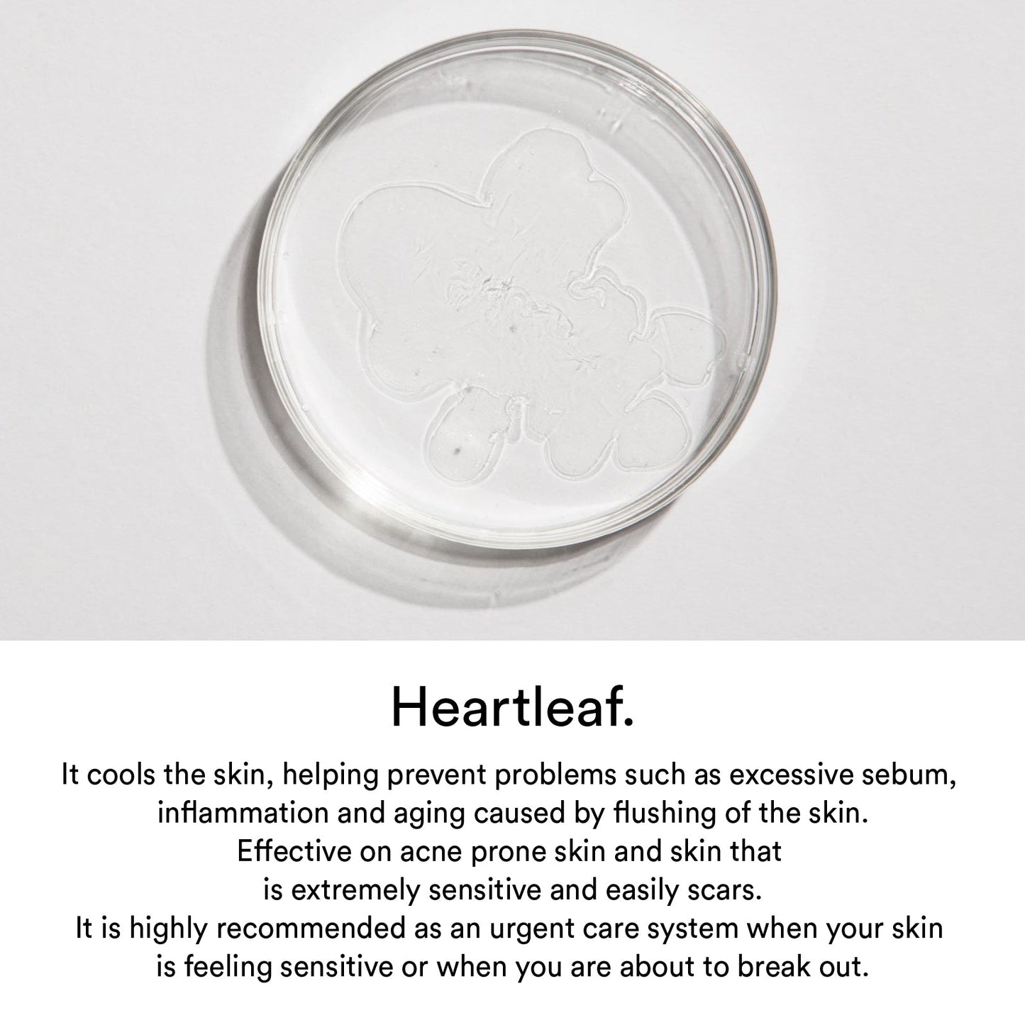 Abib Gummy Sheet Mask Heartleaf Sticker