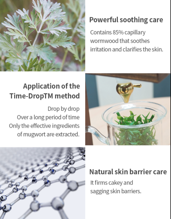Isntree Spot Saver Mugwort Ampoule 50ml