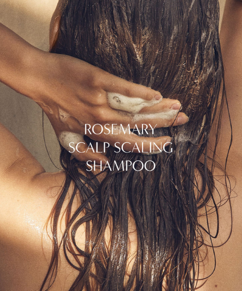 Aromatica Rosemary Scalp Scaling Shampoo