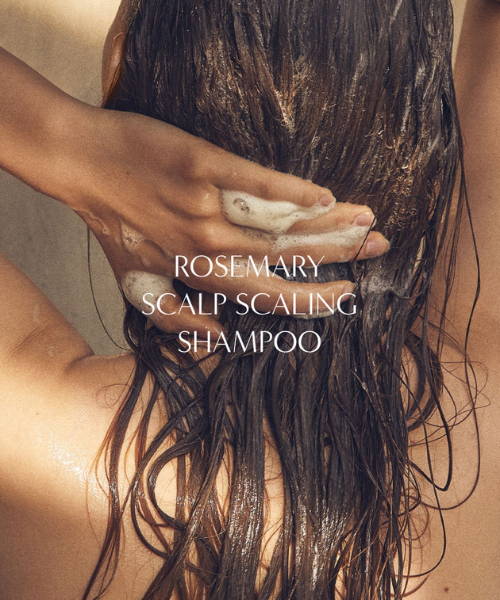 AROMATICA Rosemary Scaling Shampoo (180ml) – Skin Cupid