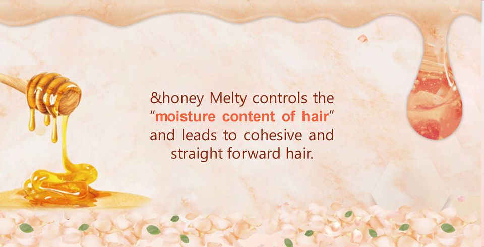 &honey Melty Moist Repair Hair Treatment 2.0