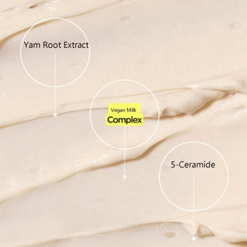 Isntree Yam Root Vegan Milk Cream